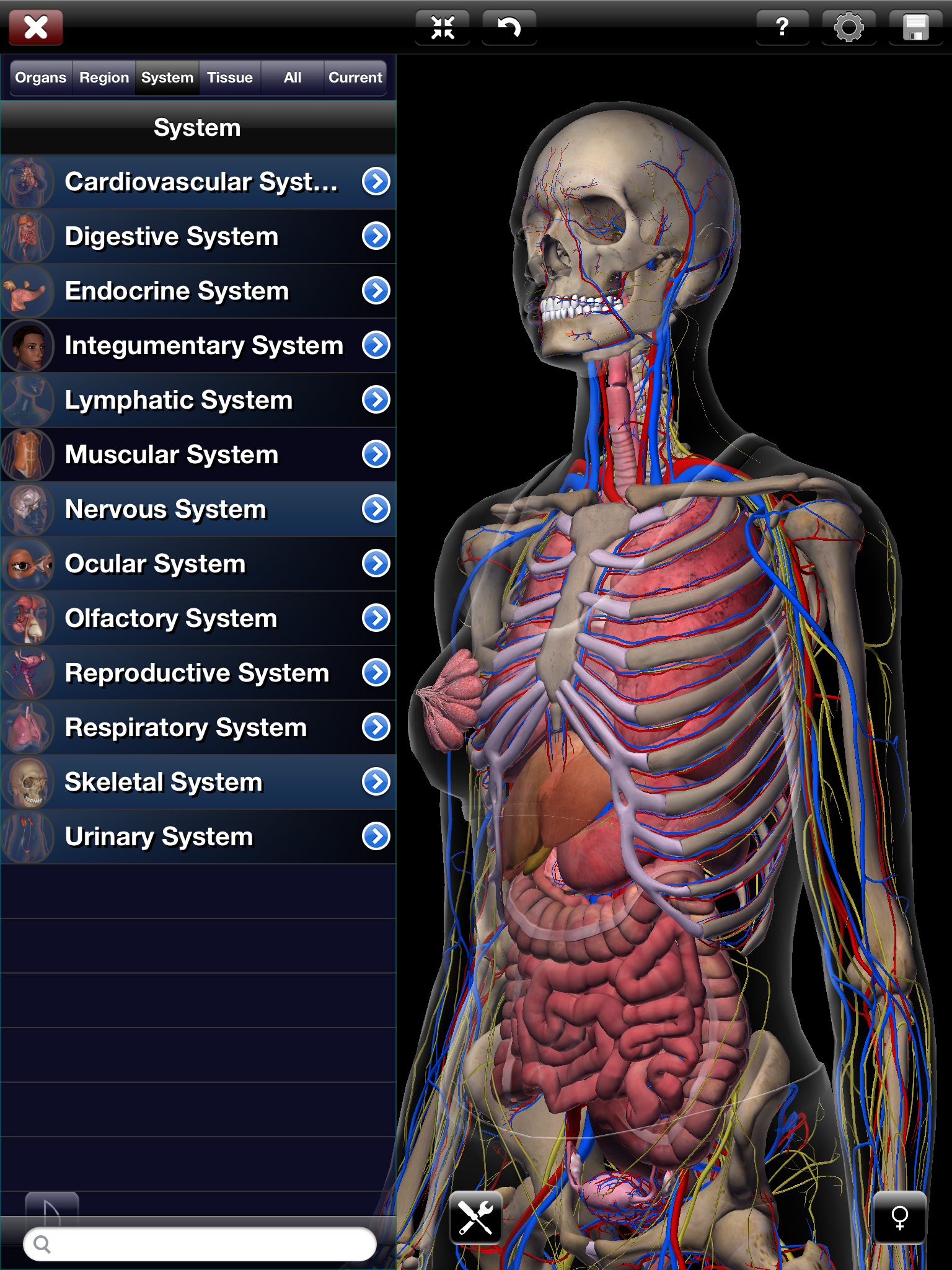 Visible body 3d human anatomy atlas 2 for mac : searchrepha