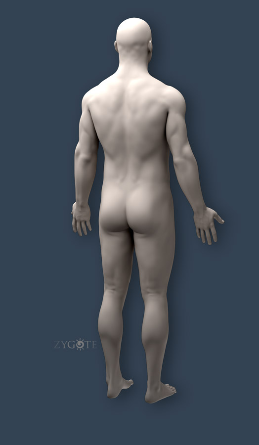 Solid 3D Male Collection