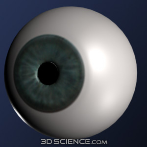 3D Human Eye
