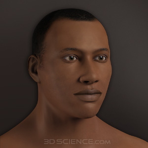 3D Male Ethnicity Morphs