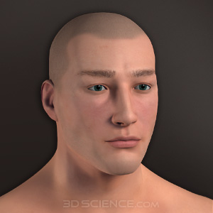 3D Male Ethnicity Morphs