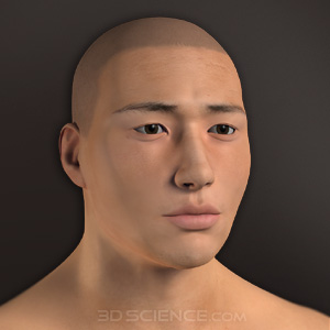 3D Male Ethnicity Morphs