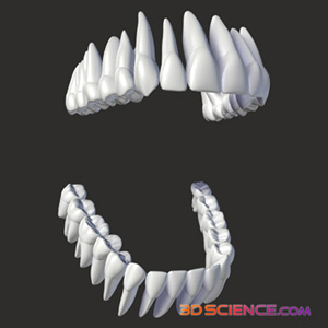 3D Teeth Open Mouth